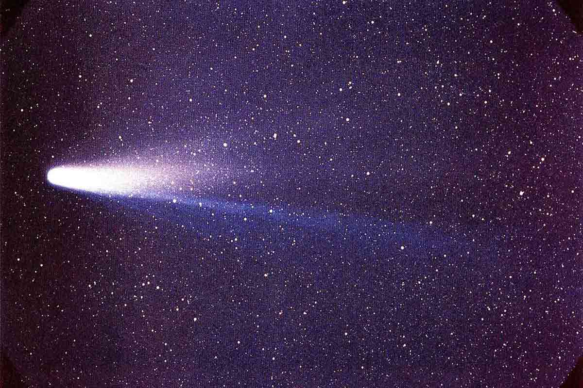 cometa halley