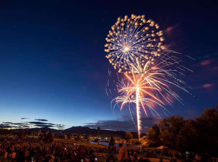 Un bellissimo fuoco d'artificio a palma