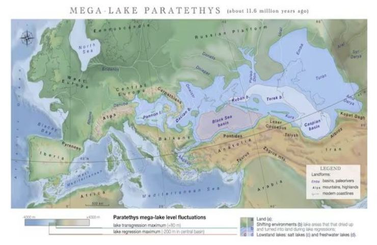 Megalago Paratethys