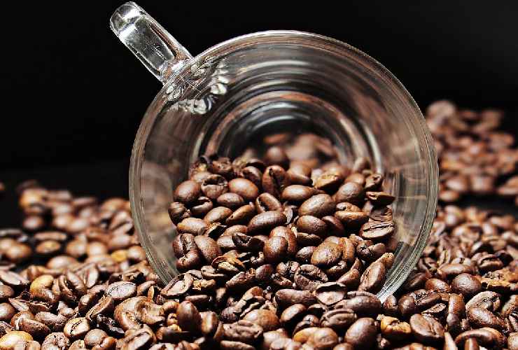 Chicchi di caffè con una tazzina di vetro