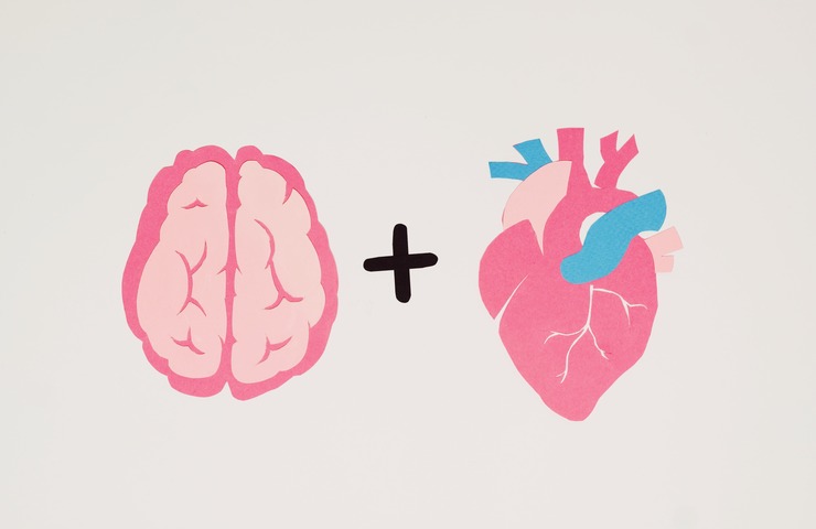 Mente + cuore disegnati