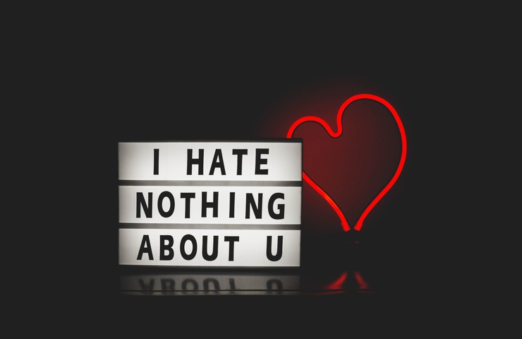 scritta: I hate nothing about you