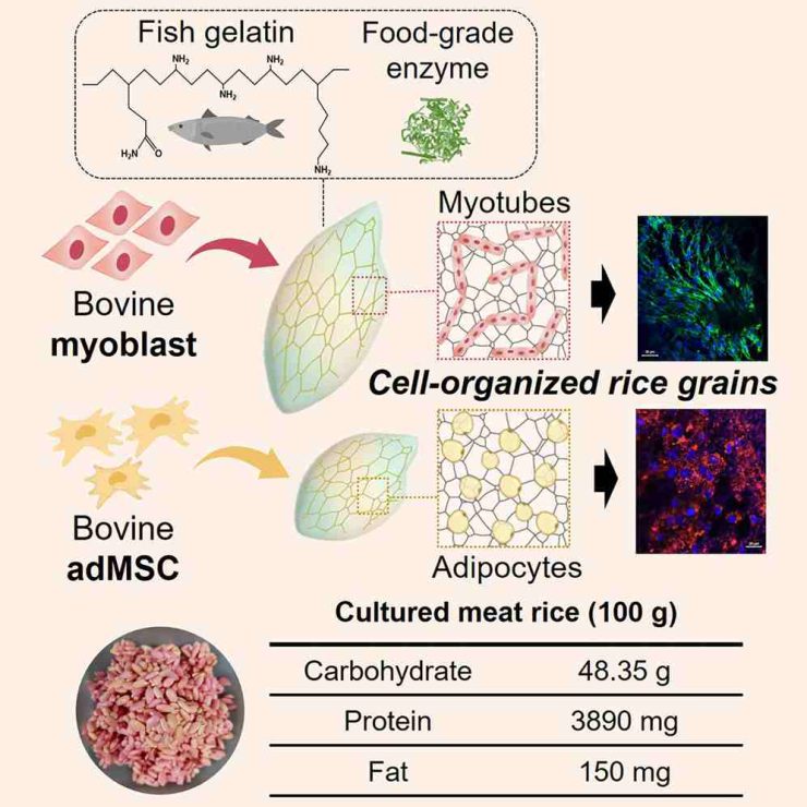 riso di carne