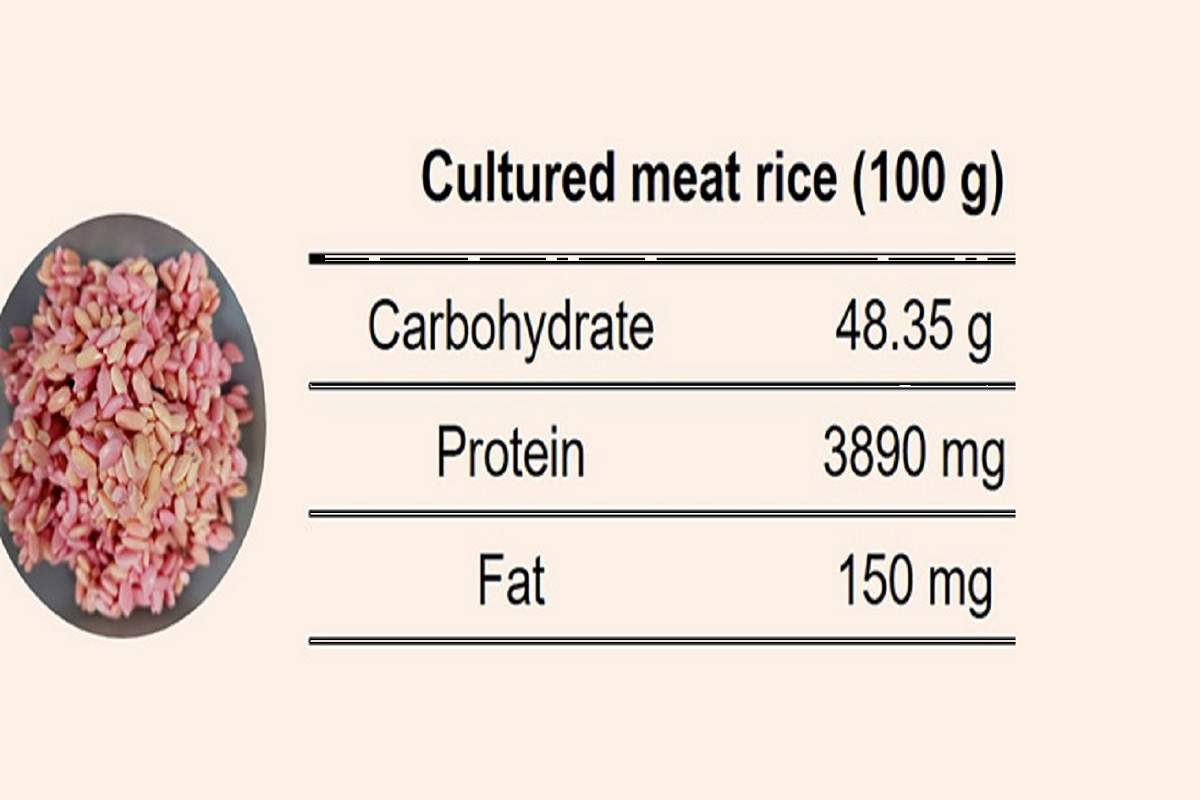 riso di carne