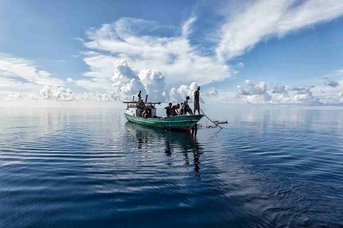 Bajau