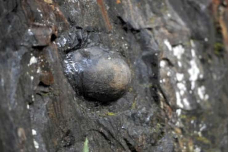 Montagna Nascono uova luogo mistero naturale