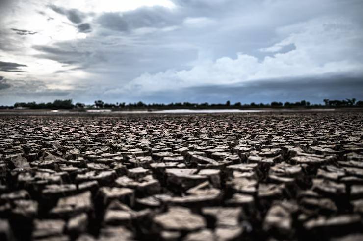 Mutazioni climatiche studio scientifico