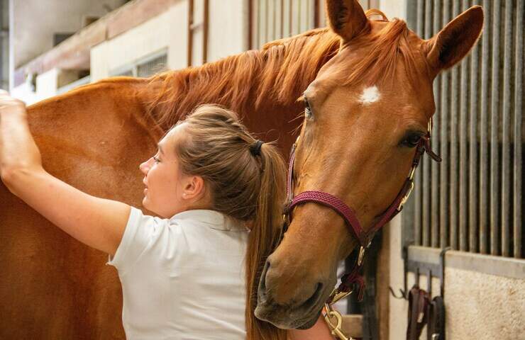 ragazza accudisce cavallo