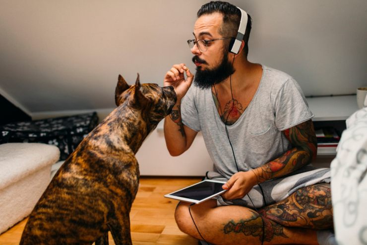 traduttore per cani