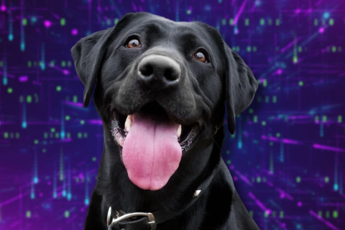 Cosa sta dicendo il cane
