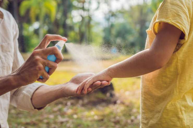 ingredienti dispensa potente mix anti-zanzare