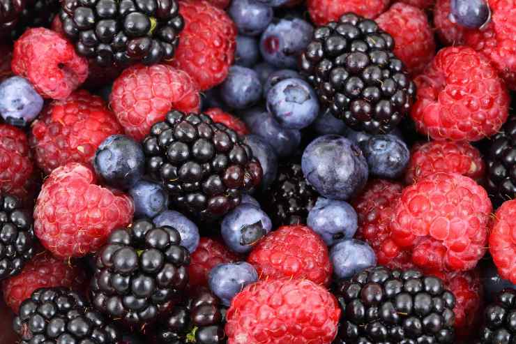 I frutti ricchi di proteine che fanno perdere peso