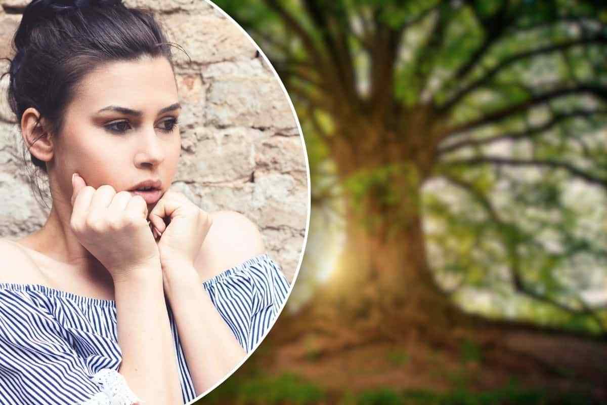 Non toccare quest'albero, c'è un motivo