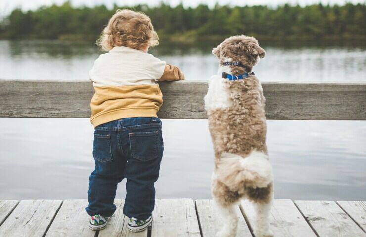 cane e bambino