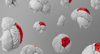 Cervello umano: 5 curiosità scientifiche che forse non conoscevi